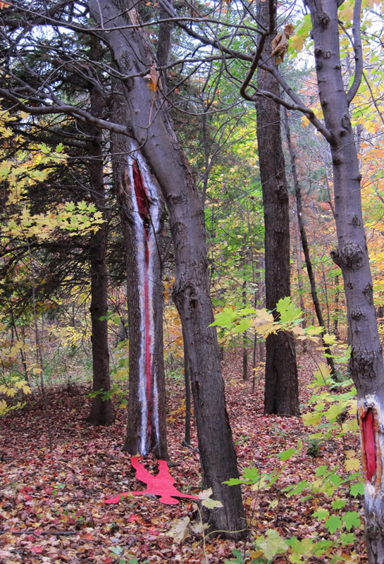 land_art
