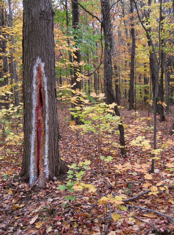 land_art